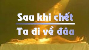 sau khi chết linh hồn về đâu