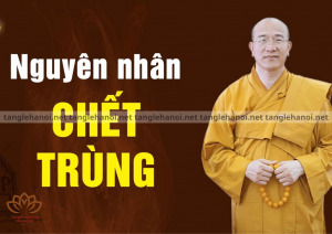 Trùng tang là như thế nào?